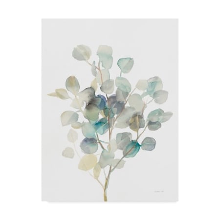 ayuページ Trademark Fine Art Danhui Nai 'Eucalyptus III White' Canvas Art